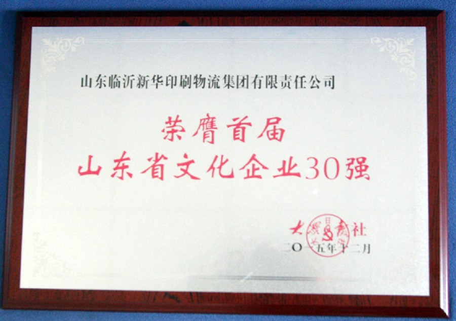 臨沂新華集團榮獲首屆  “山東省文化企業30強 ”榮譽稱号 第 2 張